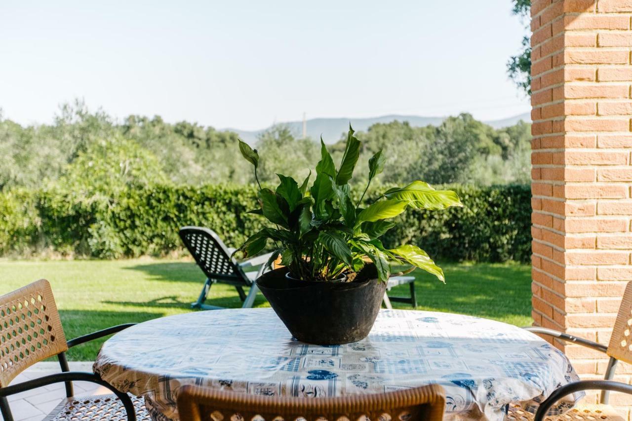 Agriturismo Casa Andreina Castiglione della Pescaia Zewnętrze zdjęcie