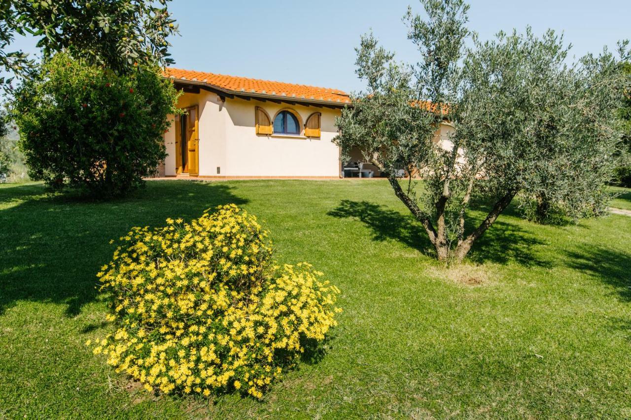 Agriturismo Casa Andreina Castiglione della Pescaia Zewnętrze zdjęcie